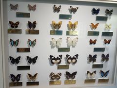 -上海昆虫博物馆