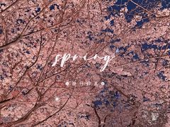 -西北湖绿化广场