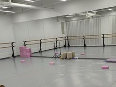 -中央芭蕾舞团·中芭艺蕾(酒仙桥明星校区)
