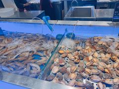 -SEA西雅图海鲜自助餐厅(正义店)
