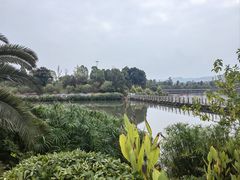 -枫香湖儿童公园