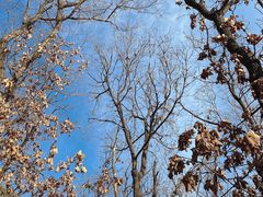 -沈阳辉山风景区