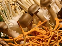 -麻路成都火锅(柏威年店)