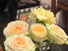 -O'eat Blossom&Pelican(深圳首店)