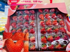-麦德龙(十里河店)