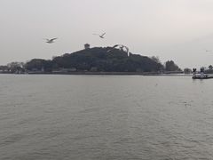 -南京大牌档(三阳广场苏宁店)