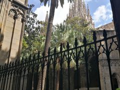门面-巴塞罗那主教座堂