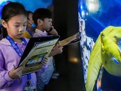 -圣淘沙名胜世界