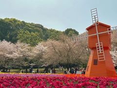 -苏州上方山国家森林公园