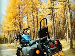 -塞罕坝国家级自然保护区