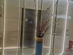 -艾维庭美容纤体SPA