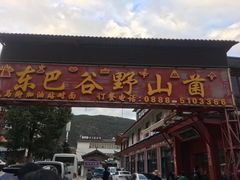 -东巴谷野生菌火锅餐厅