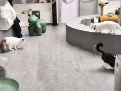 -了凡国风主题茶馆·咖啡(武侯祠锦里店)