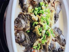 -饭怕鱼·黄焖鲟龙鱼(湖大店)