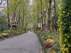 -杭州植物园