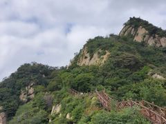 -大岭沟猕猴桃谷风景区