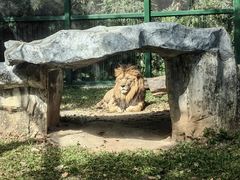 -广州动物园