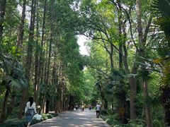 -同里国家湿地公园