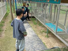 -遇见世外桃源教育农场