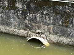 -西禅古寺售票处