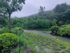 -云溪植物园