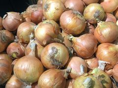 黄洋葱-河马鲜生超市