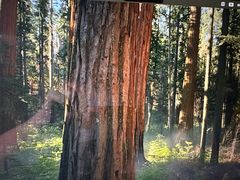 -Apple零售店(中街大悦城店)