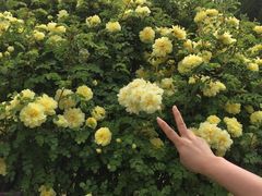 -仁寿山