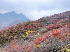 -香山公园