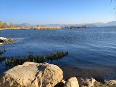 -洱海月湿地公园