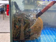 -老班长·小龙虾·鲜货烧烤大排档(金街美地店)