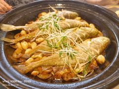 -有喜胶东小馆(超极合生汇太申祥和店)