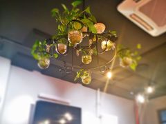 -回·龙虾铺·盆盆蟹·烧烤大排档(回龙观店)