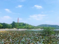 -顺峰山公园