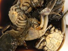 -红灯笼龙凤饭店(宁波老字号店)