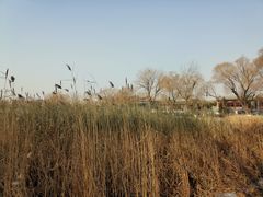 -好利来(新华百货店)