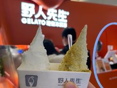 -野人先生现做冰淇淋(北京王府井东方新天地店)
