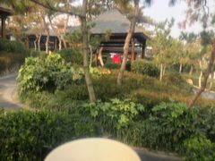 -威海天沐温泉度假区