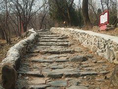 -阳台山自然风景区