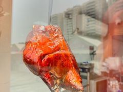 -黄连大头华烧鹅店(大良店)