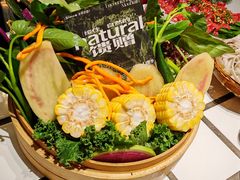 -朱光玉火锅馆(正佳广场店)