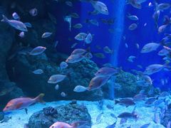 -成都浩海立方海洋公园