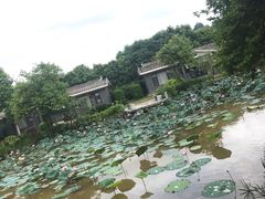 -林丰温泉度假山庄