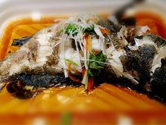 石斑鱼-盒马鲜生(龙德广场店)