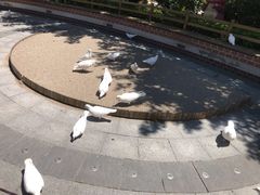 -南宫五洲植物乐园