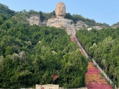 -蒙山大佛景区
