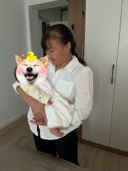 -东方幸福国际母婴月子会所(宿迁店)