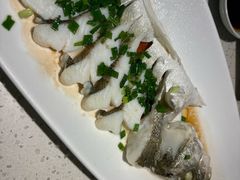 -船歌·鱼水饺青岛菜(金狮广场店)
