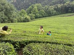 -敬亭山风景名胜区