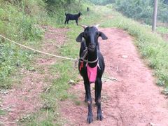 -金堂县云顶石城风景区